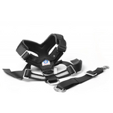 MIMsafe AllSafe Harness